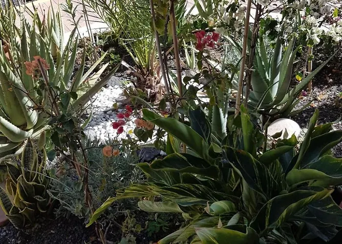 דירה Mit Gemeinschaftlichem Pool By Interhome קוסטה קלמה