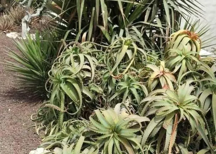 Mit Gemeinschaftlichem Pool By Interhome *