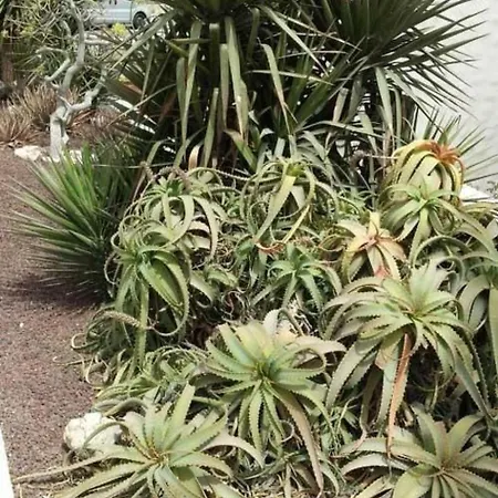 Mit Gemeinschaftlichem Pool By Interhome *