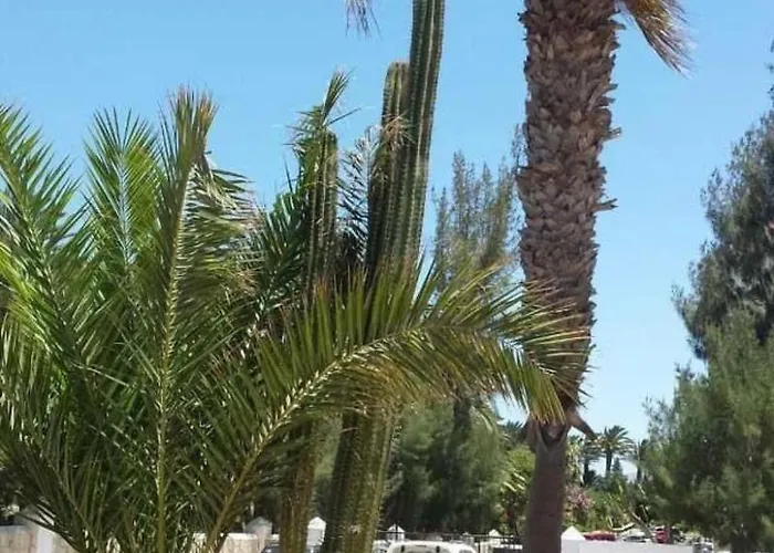 Mit Gemeinschaftlichem Pool By Interhome Коста Калма