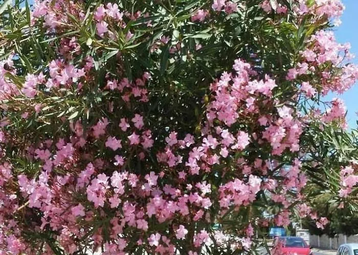 Mit Gemeinschaftlichem Pool By Interhome